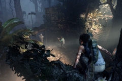 Shadow of the Tomb Raider (32)